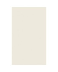 BEIGE BRILLO RECTIFICADO