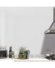 NATURAL WHITE PLUS (BRILLO)